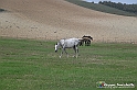 VBS_7531 - Andare lontano, oltre i campi da arare... e ancora più in là